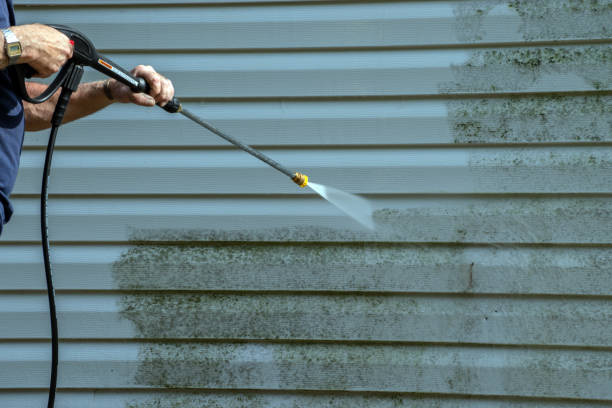 Best Local Pressure Washing Services  in Moon Lake, FL